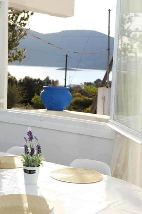 White Villa In Olive Trees And Seaview To Panagia Almiropótamos Buitenkant foto