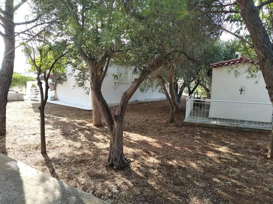 White Villa In Olive Trees And Seaview To Panagia Almiropótamos Buitenkant foto