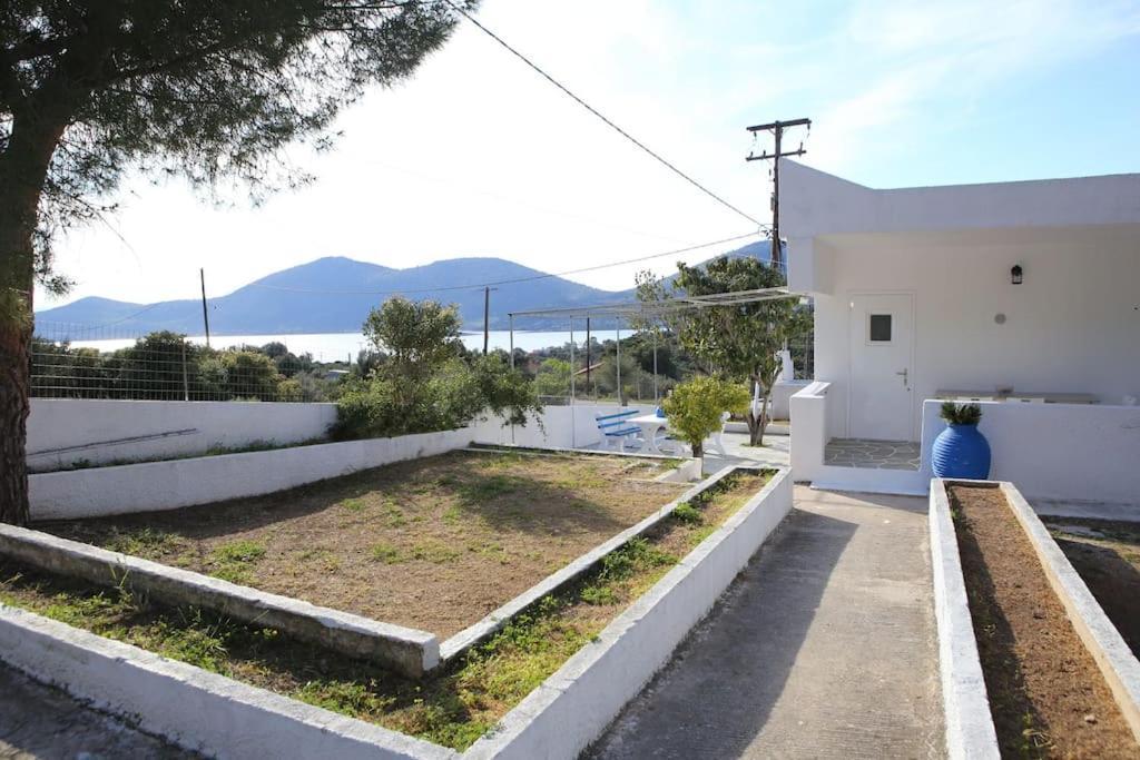 White Villa In Olive Trees And Seaview To Panagia Almiropótamos Buitenkant foto