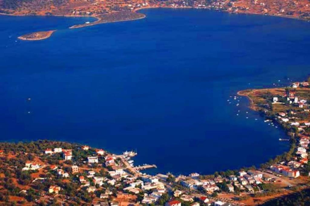 White Villa In Olive Trees And Seaview To Panagia Almiropótamos Buitenkant foto