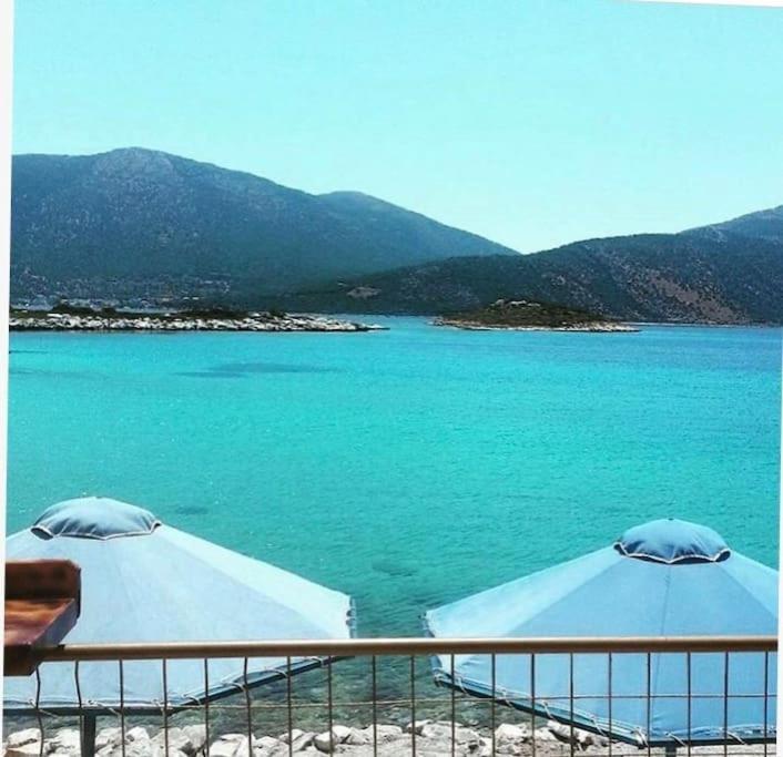 White Villa In Olive Trees And Seaview To Panagia Almiropótamos Buitenkant foto