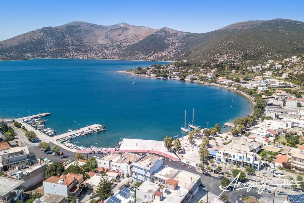 White Villa In Olive Trees And Seaview To Panagia Almiropótamos Buitenkant foto